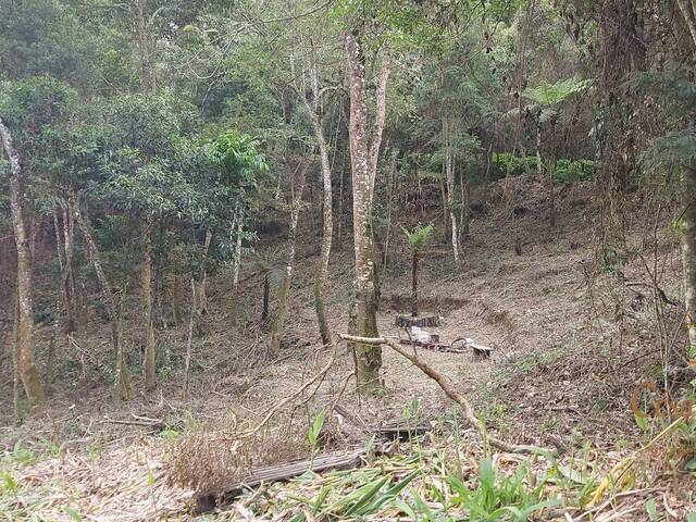 #591 - Terreno para Venda em Campos do Jordão - SP - 2