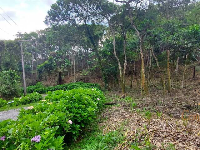 Terreno para Venda em Campos do Jordão - 4