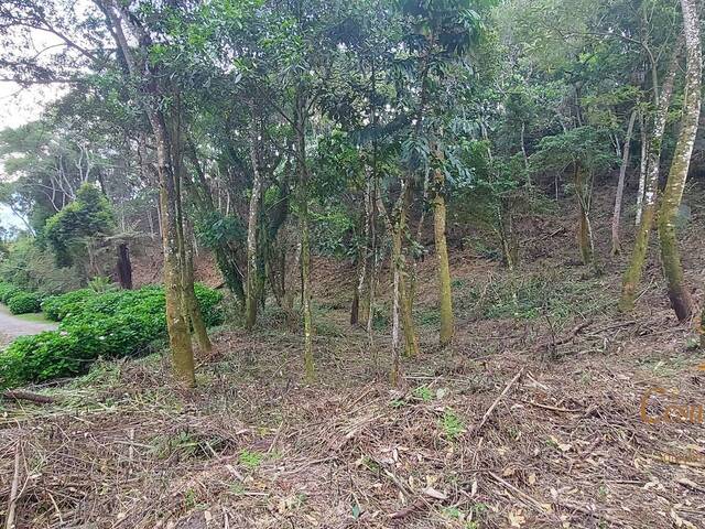 Terreno para Venda em Campos do Jordão - 5