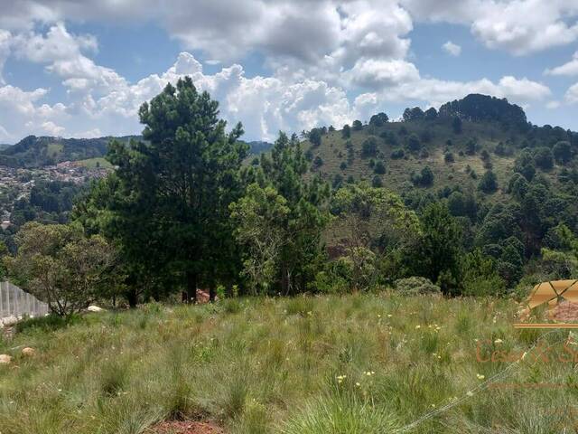 #632 - Terreno para Venda em Campos do Jordão - SP - 3