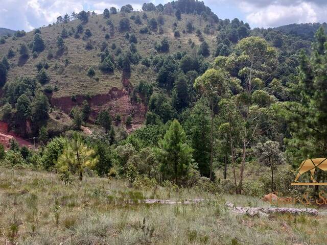 #633 - Terreno para Venda em Campos do Jordão - SP - 2