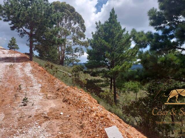 #633 - Terreno para Venda em Campos do Jordão - SP - 3