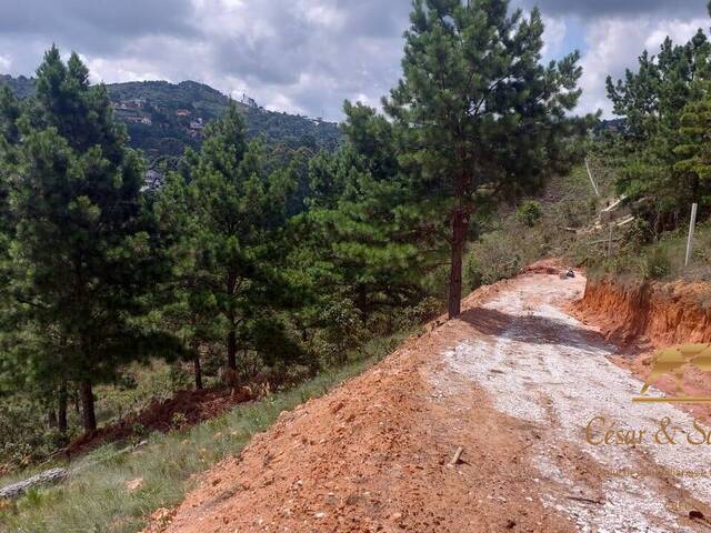 Terreno para Venda em Campos do Jordão - 4