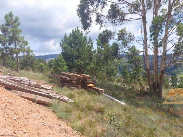 Terreno para Venda em Campos do Jordão - 5