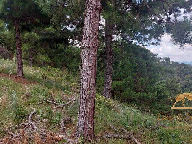 Terreno para Venda em Campos do Jordão - 2