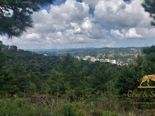 #634 - Terreno para Venda em Campos do Jordão - SP - 3