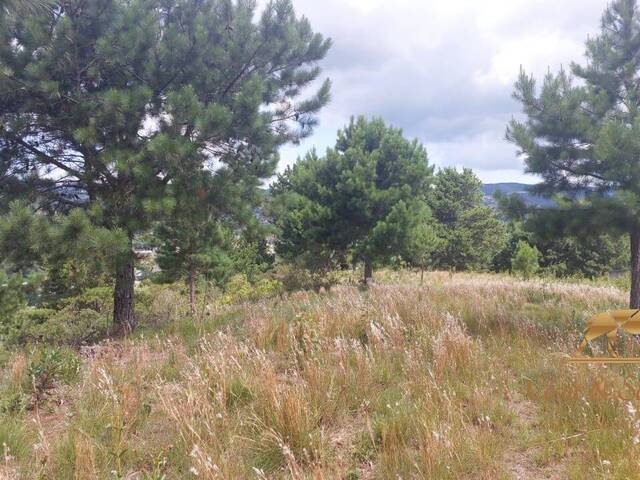 Terreno para Venda em Campos do Jordão - 4