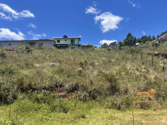 #644 - Terreno para Venda em Campos do Jordão - SP - 3