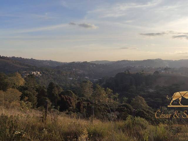 #657 - Terreno para Venda em Campos do Jordão - SP - 1