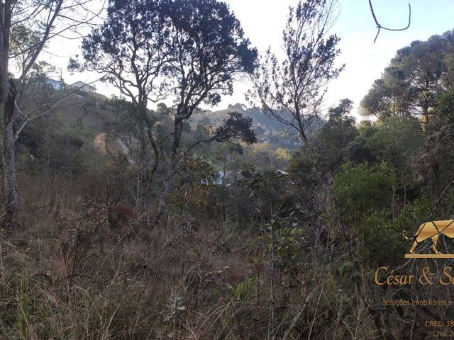 #657 - Terreno para Venda em Campos do Jordão - SP - 2