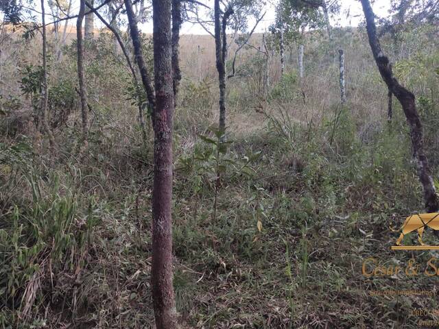 Terreno para Venda em Campos do Jordão - 5