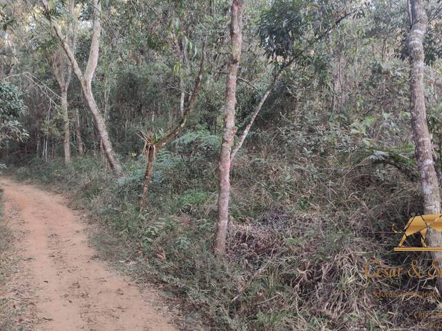 #657 - Terreno para Venda em Campos do Jordão - SP - 3