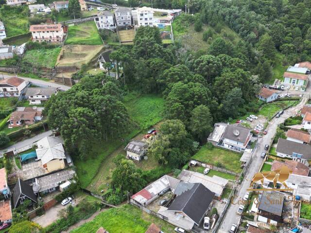 #668 - Terreno para Venda em Campos do Jordão - SP - 3