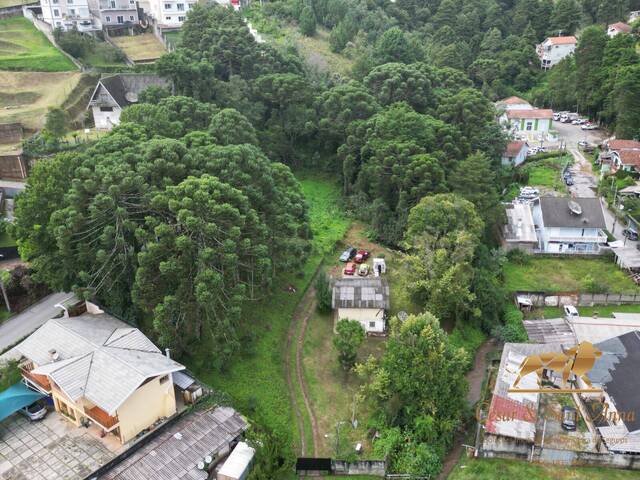 Terreno para Venda em Campos do Jordão - 5