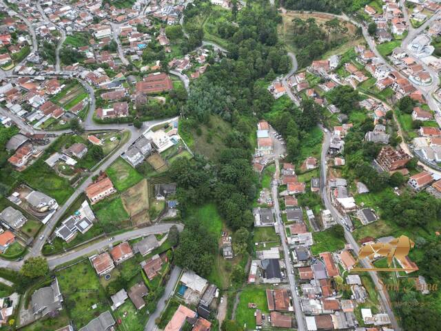 Terreno para Venda em Campos do Jordão - 4