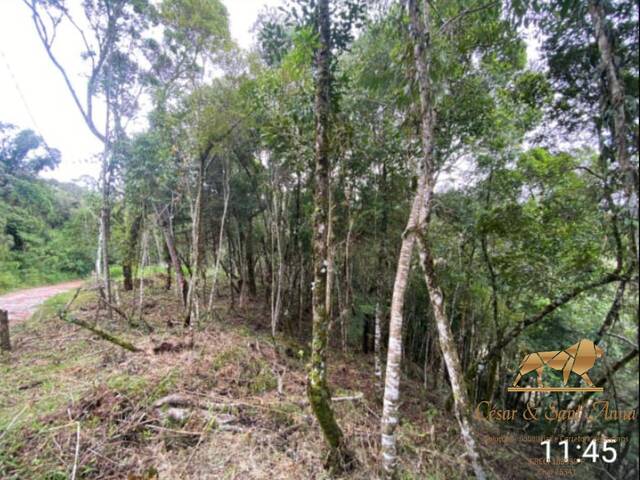 Terreno para Venda em Campos do Jordão - 1