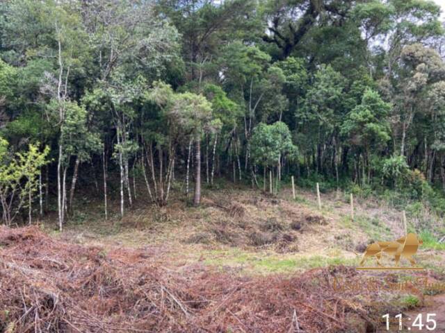 #680 - Terreno para Venda em Campos do Jordão - SP - 2