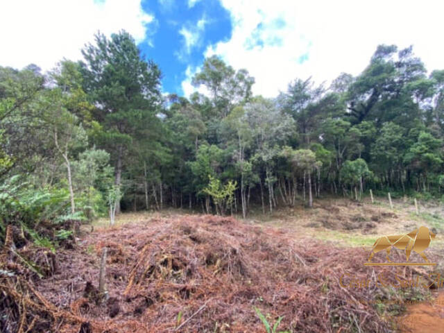 #680 - Terreno para Venda em Campos do Jordão - SP - 3