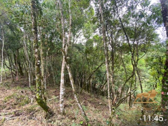 Terreno para Venda em Campos do Jordão - 4