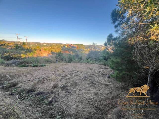 Terreno para Venda em Campos do Jordão - 4