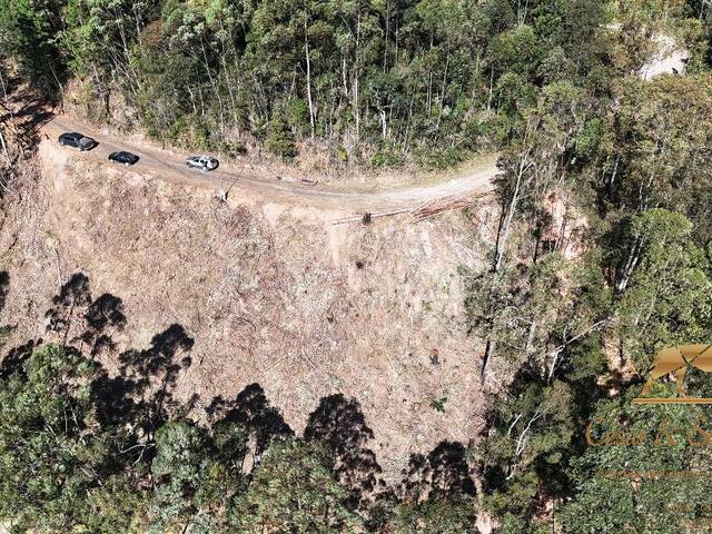 Terreno para Venda em Campos do Jordão - 3