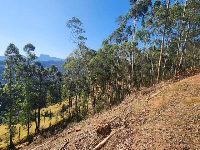 Terreno para Venda em Campos do Jordão - 5