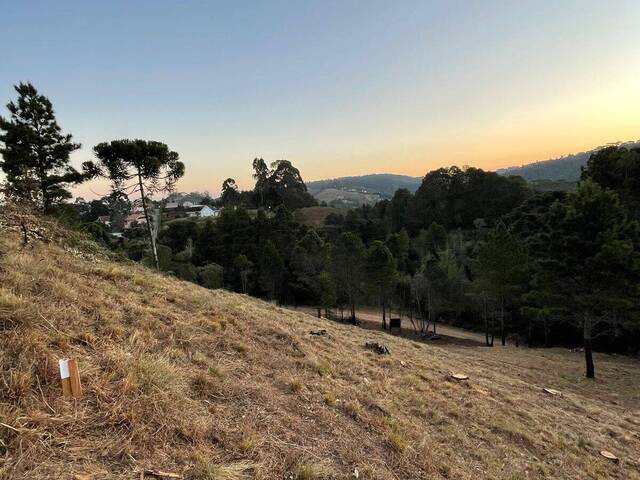 #719 - Terreno para Venda em Campos do Jordão - SP - 1