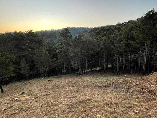 Terreno para Venda em Campos do Jordão - 3