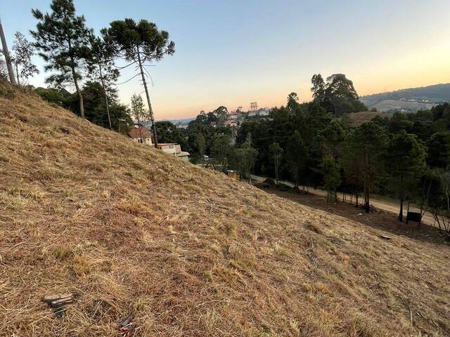 Terreno para Venda em Campos do Jordão - 2