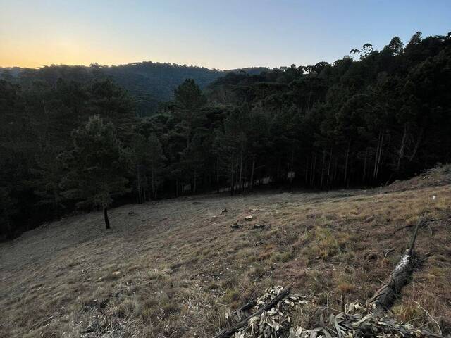 Terreno para Venda em Campos do Jordão - 3