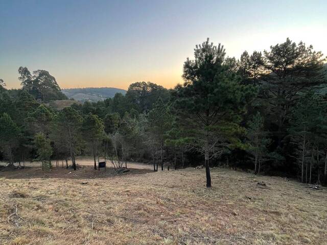 #721 - Terreno para Venda em Campos do Jordão - SP - 3