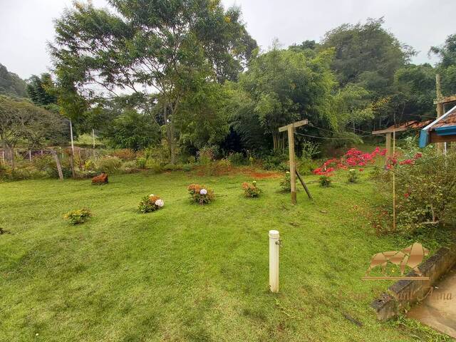 Chácara para Venda em Santo Antônio do Pinhal - 5