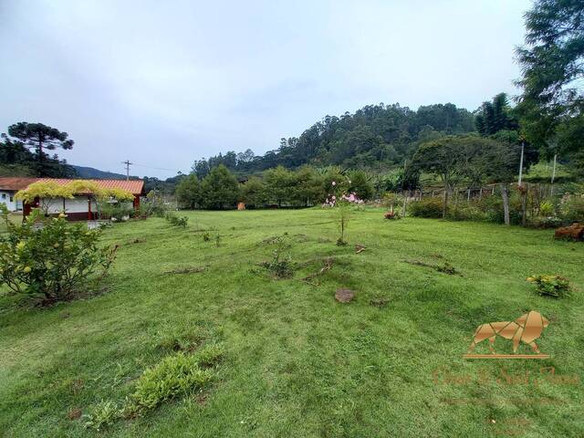 Chácara para Venda em Santo Antônio do Pinhal - 2