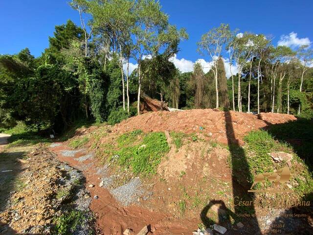 #749 - Terreno para Venda em Campos do Jordão - SP - 1