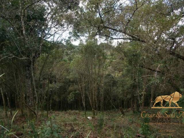 #TE0017 - Terreno para Venda em Campos do Jordão - SP - 1