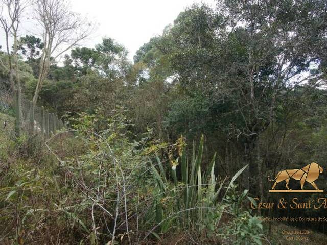 #TE0017 - Terreno para Venda em Campos do Jordão - SP - 2