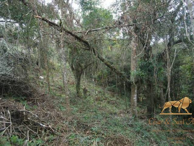 Terreno para Venda em Campos do Jordão - 5