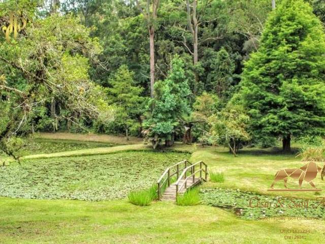 #TE0005 - Terreno para Venda em Campos do Jordão - SP - 2