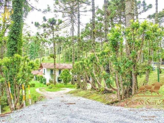 #TE0005 - Terreno para Venda em Campos do Jordão - SP - 3