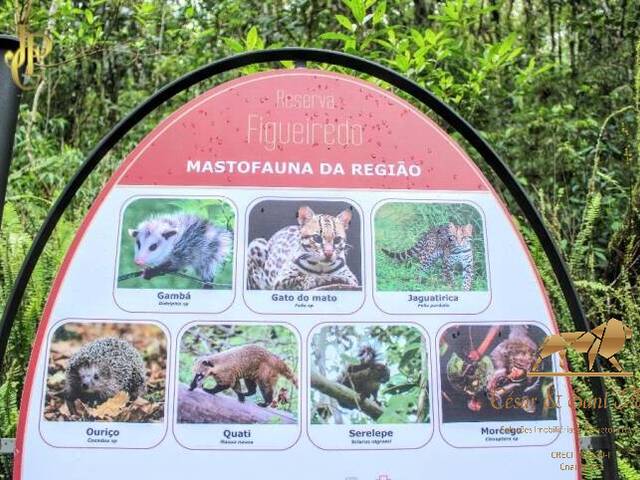 Terreno para Venda em Campos do Jordão - 5