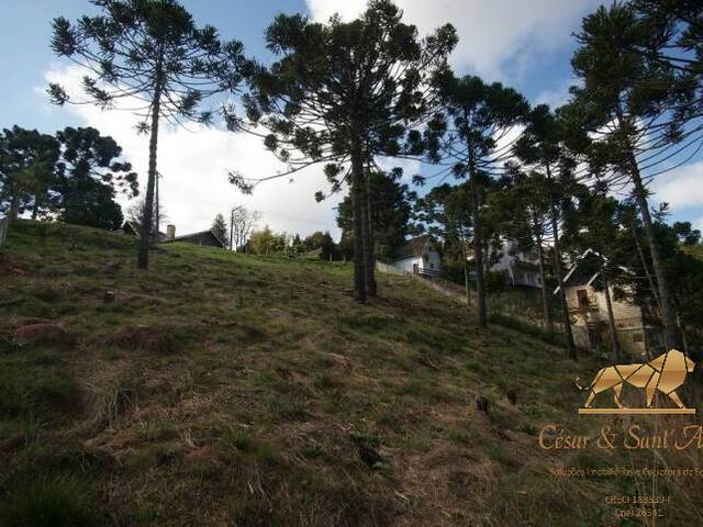 Terreno para Venda em Campos do Jordão - 5