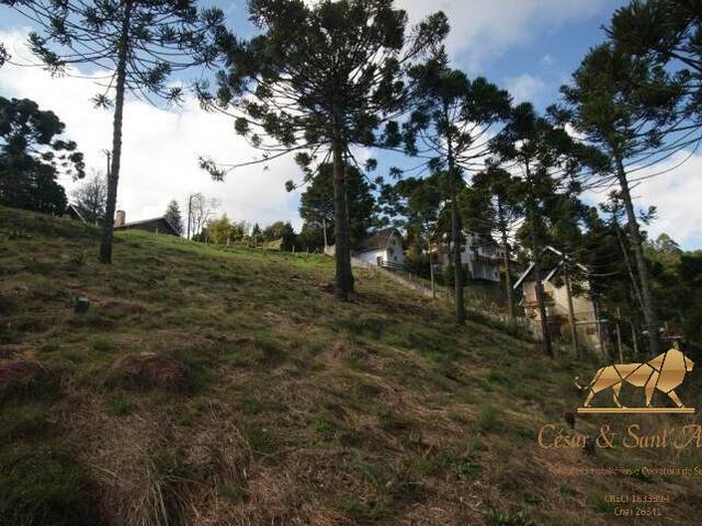 Terreno para Venda em Campos do Jordão - 4