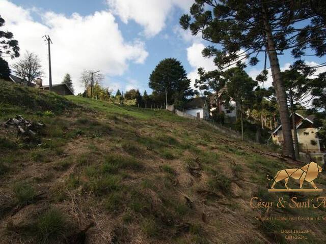 Terreno para Venda em Campos do Jordão - 3