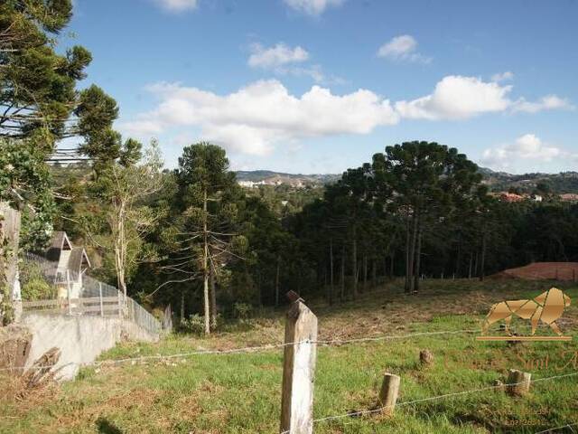 Terreno para Venda em Campos do Jordão - 2