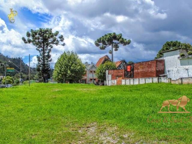 Terreno para Locação em Campos do Jordão - 1