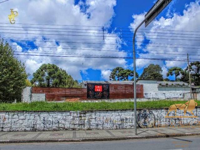 #TE0026 - Terreno para Locação em Campos do Jordão - SP - 3