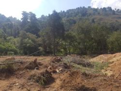 Terreno para Venda em Campos do Jordão - 4