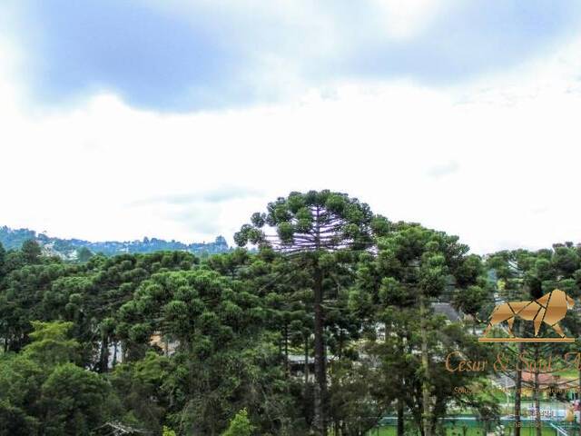 Apartamento para Venda em Campos do Jordão - 3