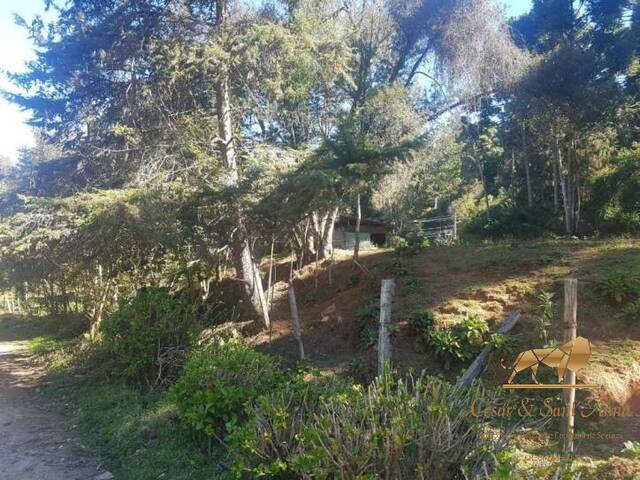 Terreno para Venda em Campos do Jordão - 2