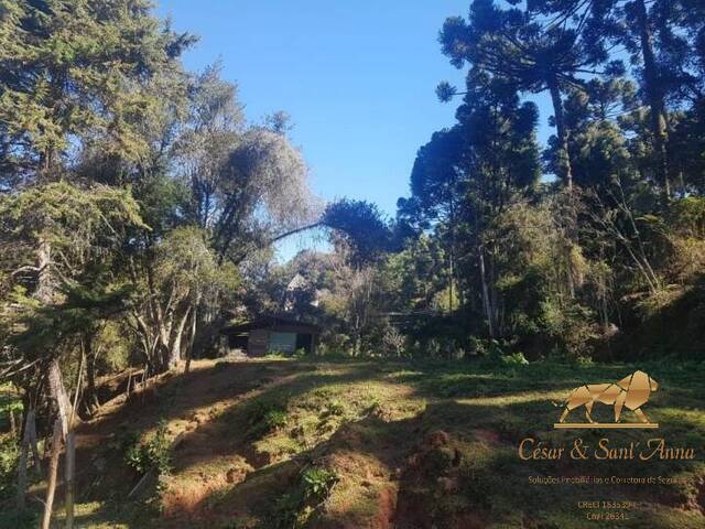 #TE0035 - Terreno para Venda em Campos do Jordão - SP - 3